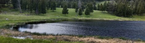 I RELEASE THE STRESS