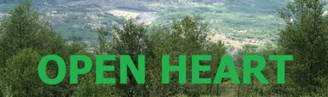 OPEN HEART