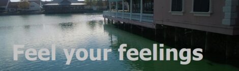 Feel your feelings