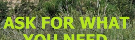 ASK FOR WHAT YOU NEED