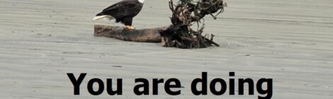 You are doing a good job