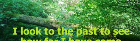 I look to the past to see how far I have come