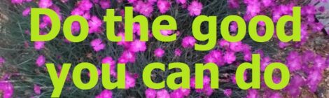 Do the good you can do