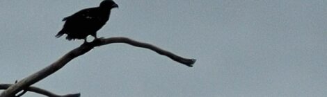 YOU ARE A GREAT FRIEND