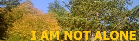 I AM NOT ALONE