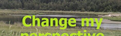 Change my perspective