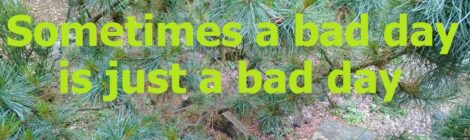 Sometimes a bad day is just a bad day