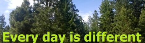 Every day is different