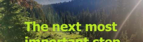 The next most important step