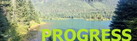 PROGRESS