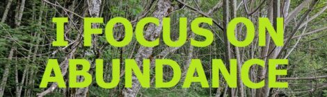I FOCUS ON ABUNDANCE