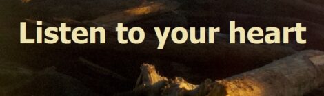 Listen to your heart