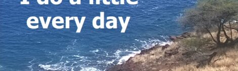 I do a little every day