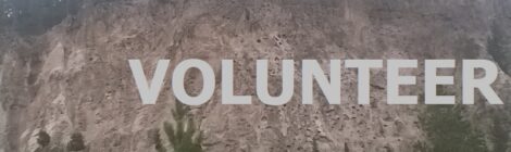 VOLUNTEER