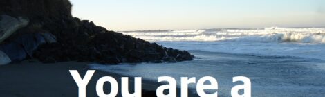 You are a beautiful soul