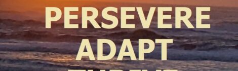 PERSVERE ADAPT THRIVE