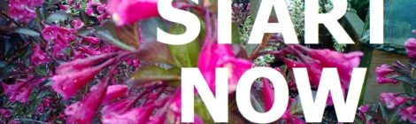 START NOW