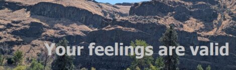 Your feelings are valid