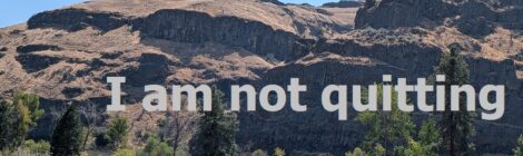 I am not quitting